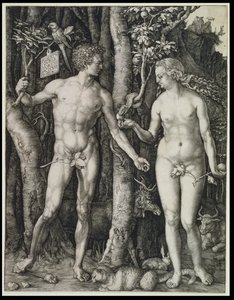  de Albrecht Dürer