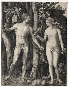 Adán y Eva