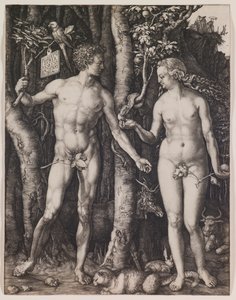  de Albrecht Dürer