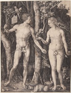  de Albrecht Dürer