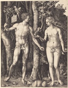  de Albrecht Dürer