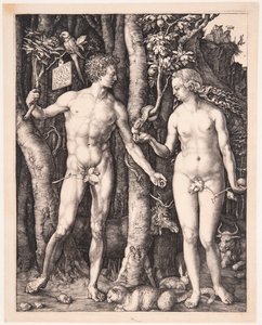  de Albrecht Dürer