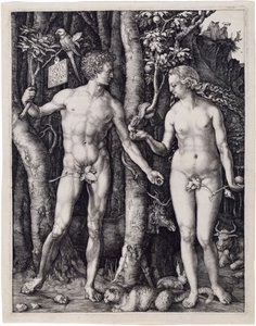  de Albrecht Dürer