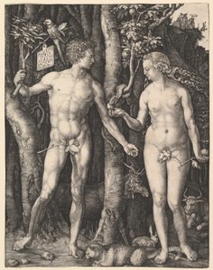  de Albrecht Dürer