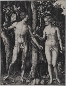  de Albrecht Dürer