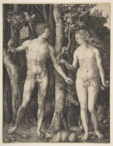  de Albrecht Dürer
