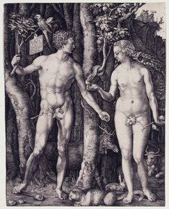  de Albrecht Dürer