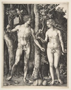 Adán y Eva, 1504