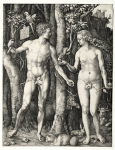 Adán y Eva