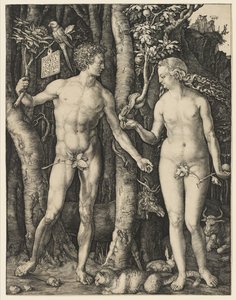 Adán y Eva, 1504