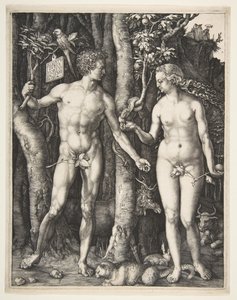 Adán y Eva, 1504