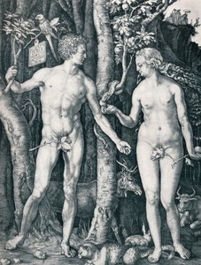 Adán y Eva, 1504 1906 de Albrecht Dürer