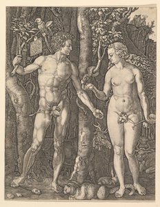 Adán y Eva, 1566