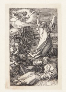 Agonía en el jardín de Albrecht Dürer