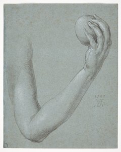 El brazo de Eva de Albrecht Dürer