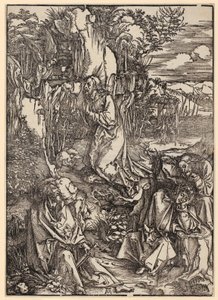  de Albrecht Dürer