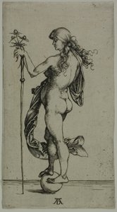Fortuna de Albrecht Dürer