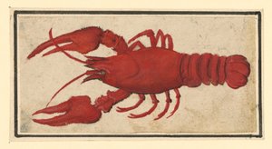  de Albrecht Dürer