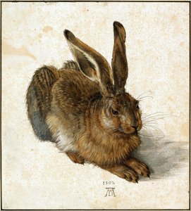 Liebre (retocada)
