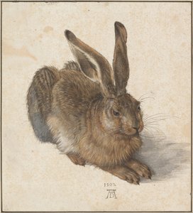 Hase, 1502 de Albrecht Dürer