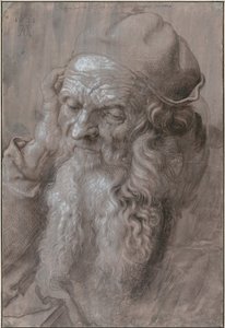 Cabeza de anciano de Albrecht Dürer