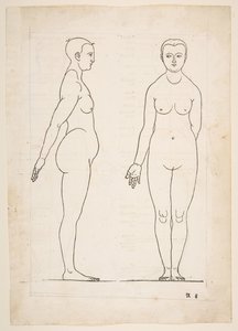 Ilustración de los Cuatro libros sobre la proporción humana de Durero, Núremberg, 1528 de Albrecht Dürer