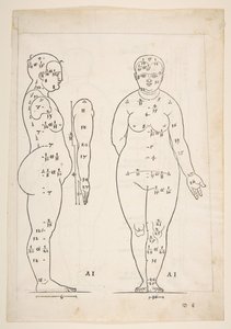Ilustración de los Cuatro Libros sobre la Proporción Humana de Durero, Núremberg, 1528