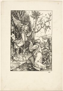 Joaquín y el ángel, de La vida de la Virgen de Albrecht Dürer