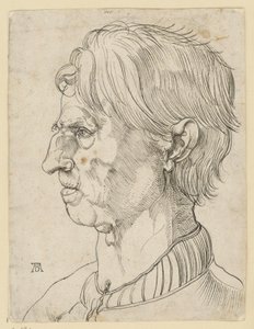 Cabeza de un hombre mayor sin barba, de perfil hacia la izquierda de Albrecht Dürer
