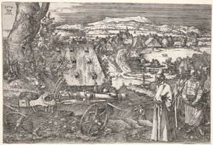 Landscape with the Cannon de Albrecht Dürer
