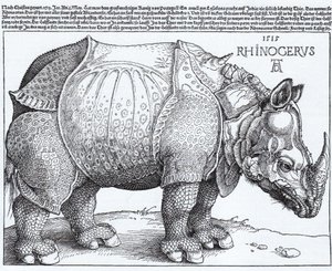 Latín:  Rhinocerus El Rinoceronte de Albrecht Dürer
