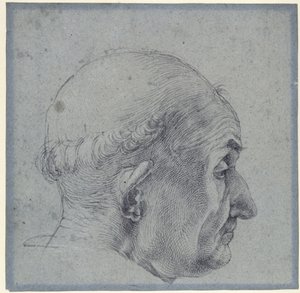 Cabeza de hombre de perfil de Albrecht Dürer