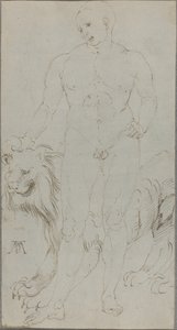 Desnudo masculino con un león (verso)