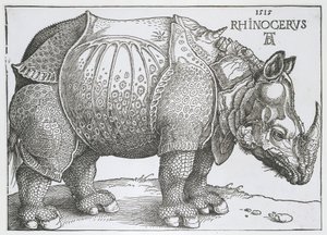 Neushoorn Rhinocerus (título sobre objeto) de Albrecht Dürer