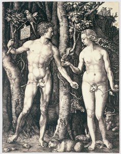 Pecado original de Albrecht Dürer