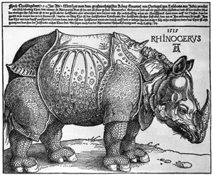 Rinoceronte, impresión dada a Maximiliano I por el Rey de Lisboa, 1515, 1936 de Albrecht Dürer