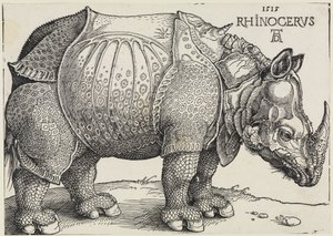 Rhinocerus (El rinoceronte) de Albrecht Dürer