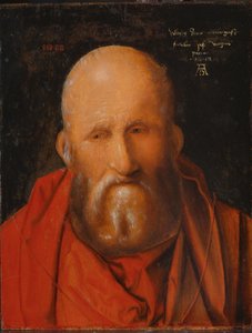 San Jerónimo, 1514 de Albrecht Dürer