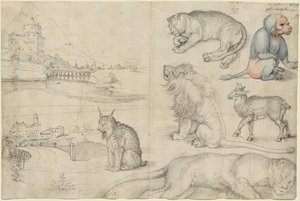 Bocetos de animales y paisajes, 1521 de Albrecht Dürer