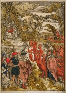 San Juan en el desierto, 1498 de Albrecht Dürer
