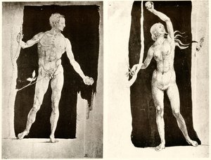 Estudios de Adán y Eva de Albrecht Dürer