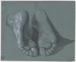 Estudio de dos pies de Albrecht Dürer