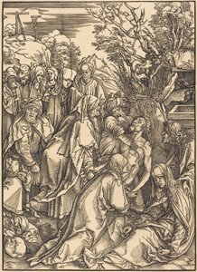  de Albrecht Dürer