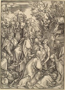  de Albrecht Dürer