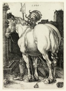 El gran caballo de Albrecht Dürer