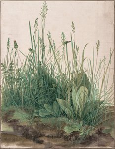 El gran trozo de césped de Albrecht Dürer