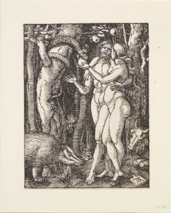  de Albrecht Dürer