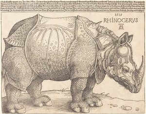 El rinoceronte de Albrecht Dürer