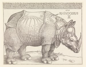 El rinoceronte de Albrecht Dürer