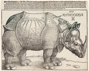 El rinoceronte de Albrecht Dürer